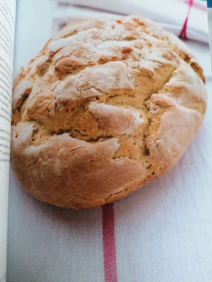 Livre pains et viennoiseries Thermomix - photo numéro 10