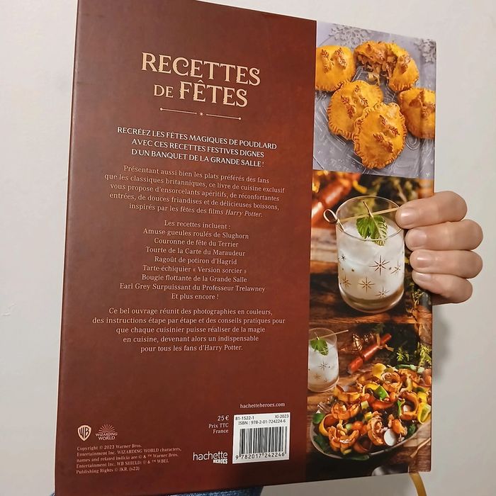 Livre de recette Harry Potter - photo numéro 4