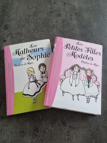 Lot de 2 livres bibliothèque rose