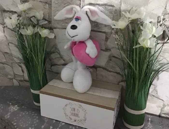 Lapin eluz - photo numéro 5