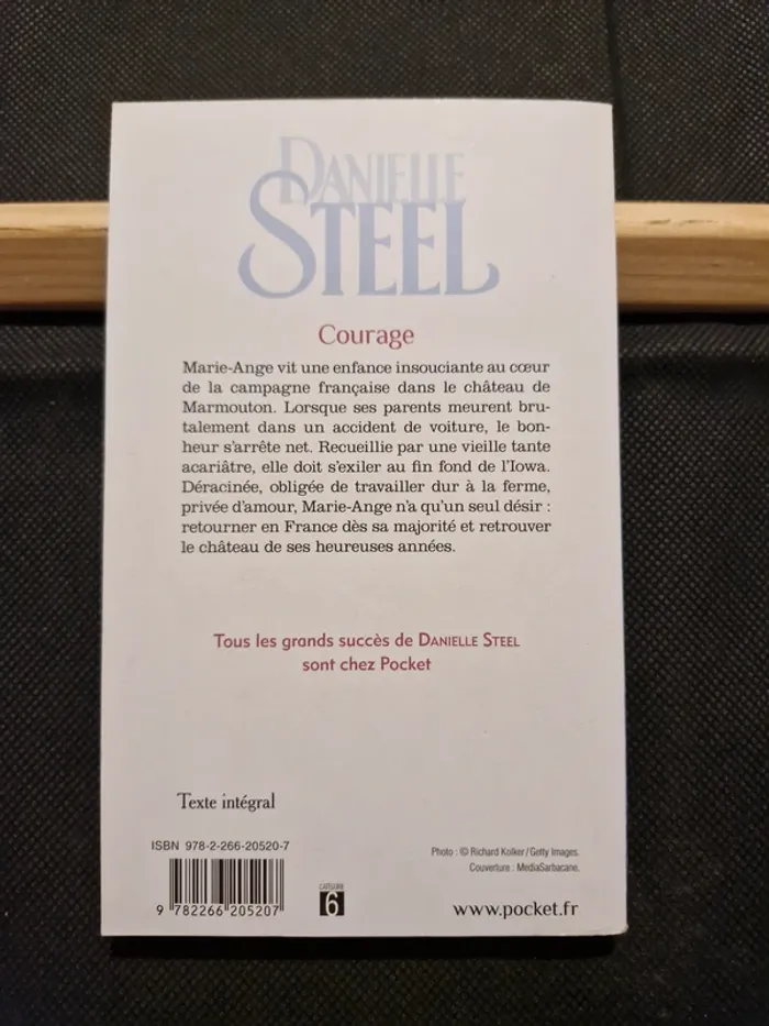 Courage - Danielle Steel - photo numéro 5