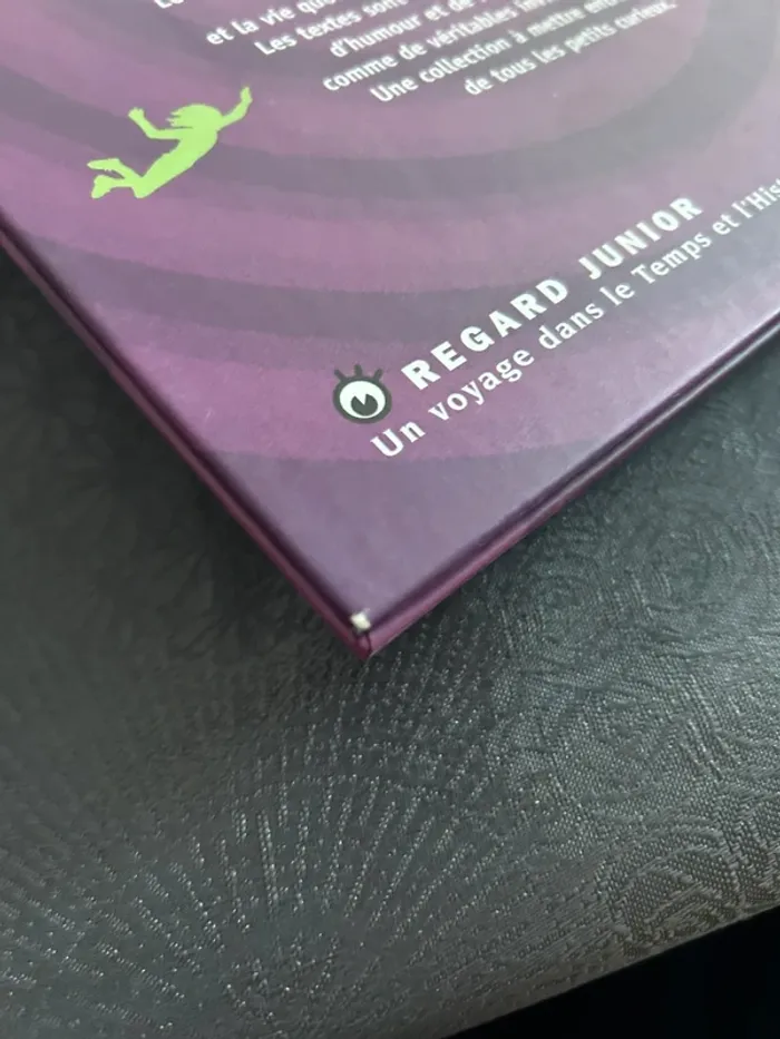 Regard Junior La renaissance - photo numéro 3