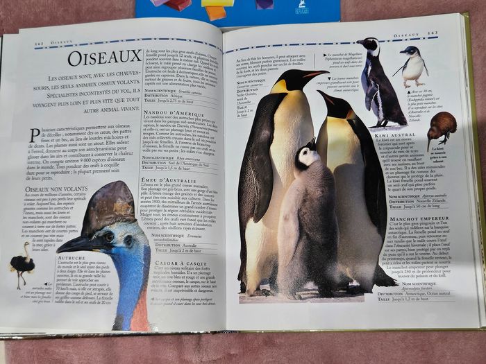 L'encyclopédie des animaux - photo numéro 3
