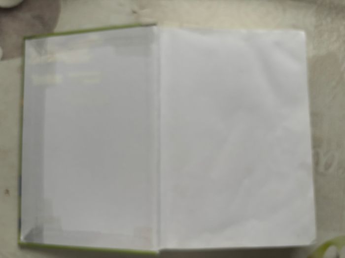 Dictionnaire débutant CP/CE - photo numéro 2