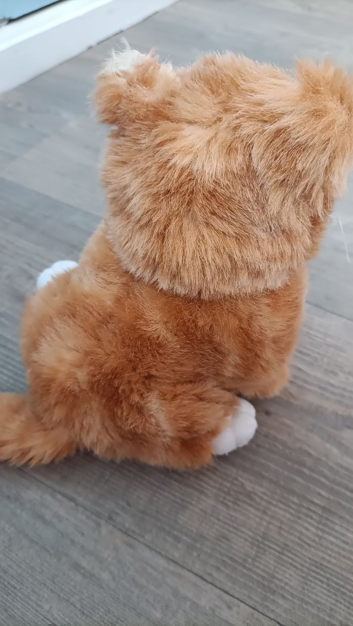Peluche chat - photo numéro 3
