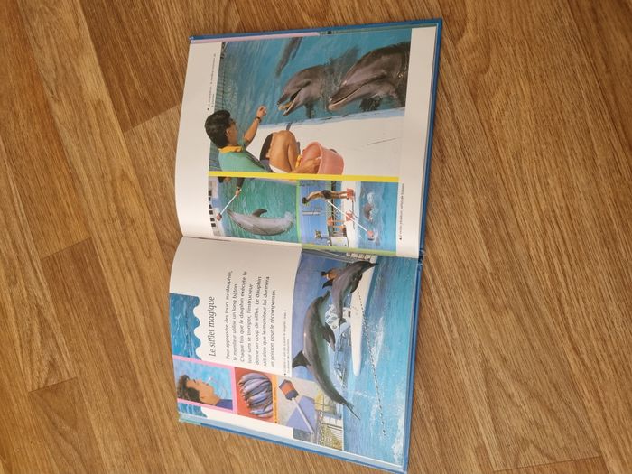 Le dauphin - photo numéro 2