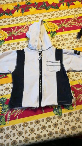 Veste capuche