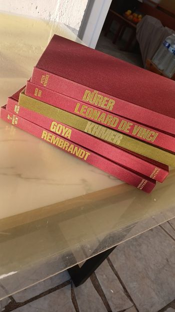 Lot de 5 livres d’art – grands maîtres de la peinture et de l’art