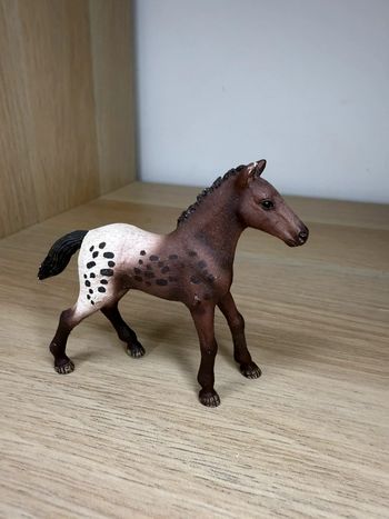 Poulain appaloosa schleich