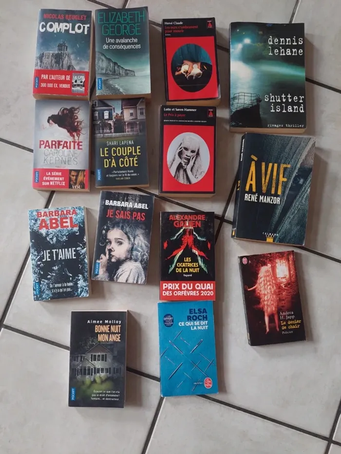 Livres polar, thrillers - photo numéro 2