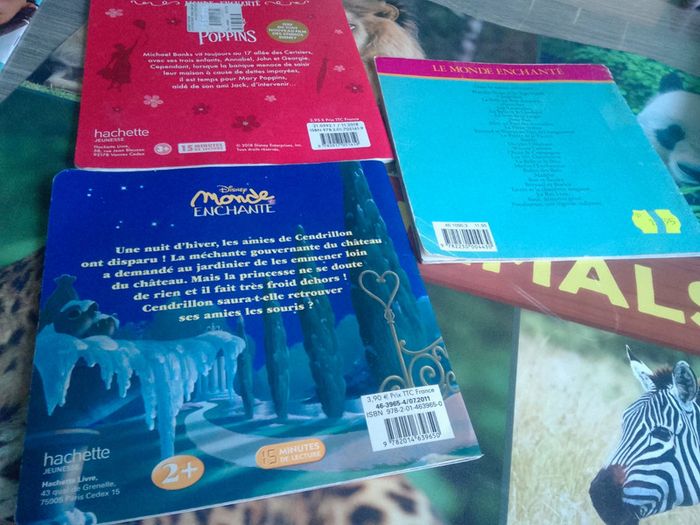 Lot livre Disney - photo numéro 2