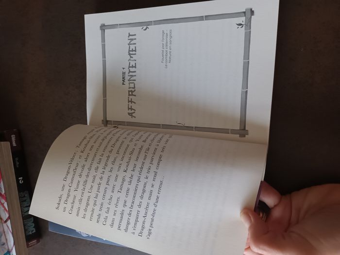 livre neuf Chugakko academie le maitre immortel de nancy guibert didier jeunesse - photo numéro 4