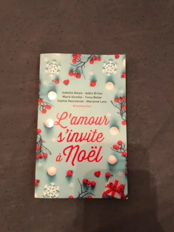 Livre l amour s invite à Noël