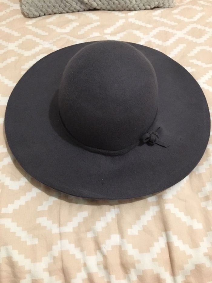 Capeline grise - photo numéro 2