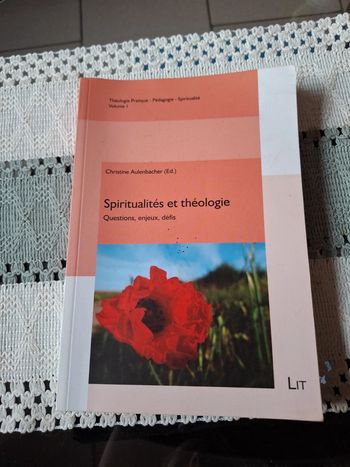 Spiritualités et théologie. Questions, enjeux, défis
