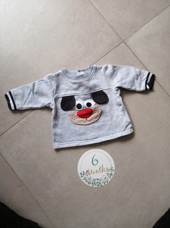 Sweat chien 6 mois