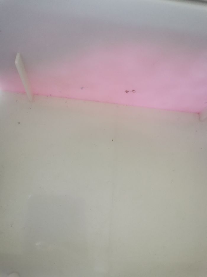 Boîte à bijoux princesses Disney n2 - photo numéro 9