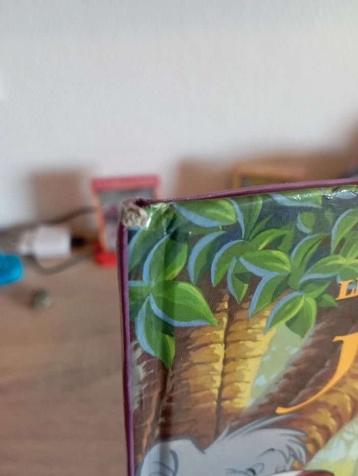 Livre Disney - photo numéro 2