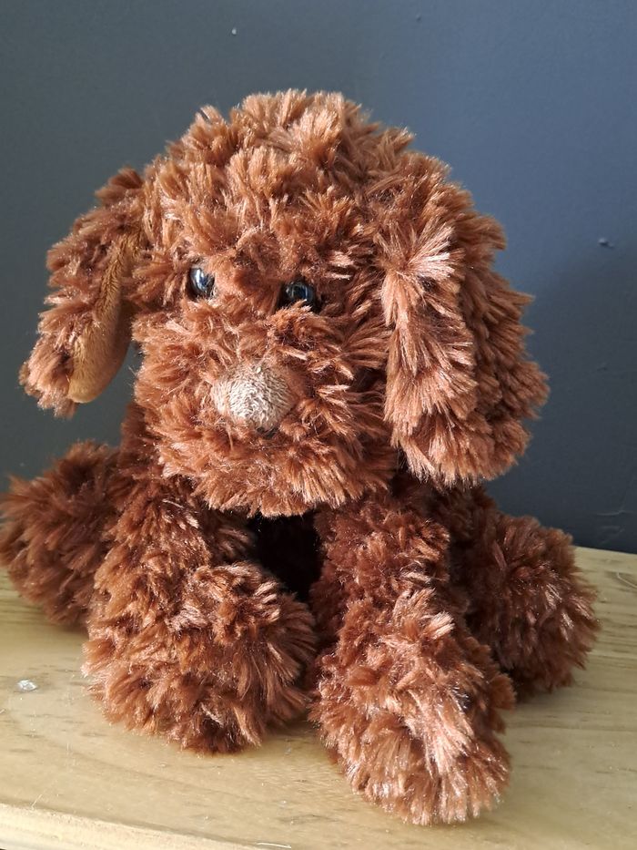 Chien brun toux doux - photo numéro 4