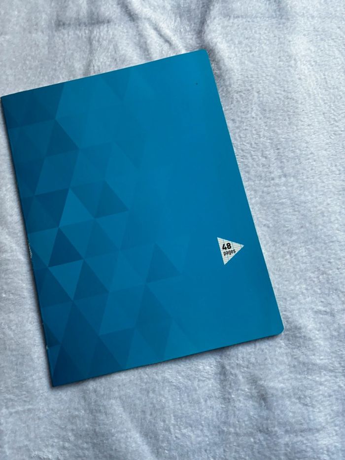Cahier 48 pages grand carreaux