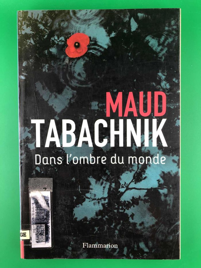 Dans l'ombre du monde - Maud Tabachnik