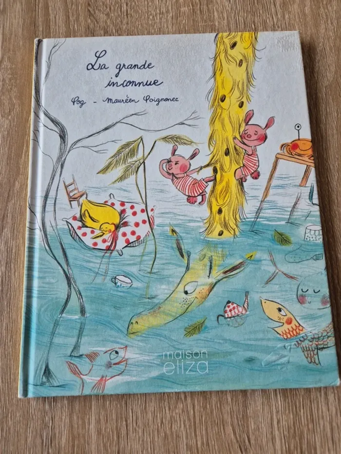 Livre La grande inconnue Pog