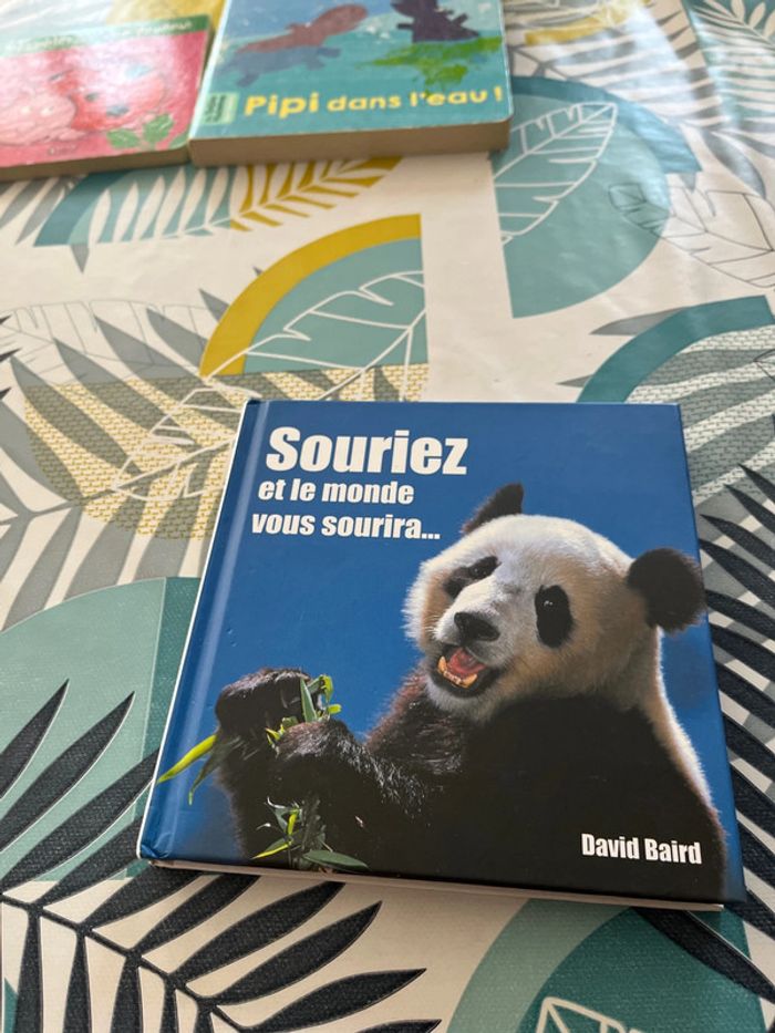 Petits livres - photo numéro 10