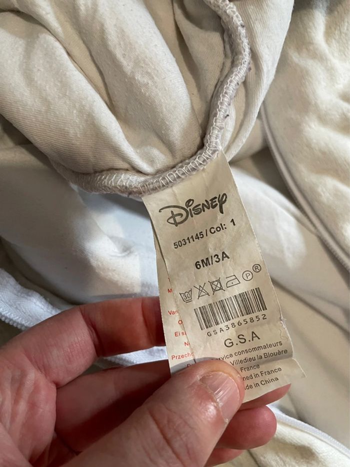 Gigoteuse Disney - photo numéro 2