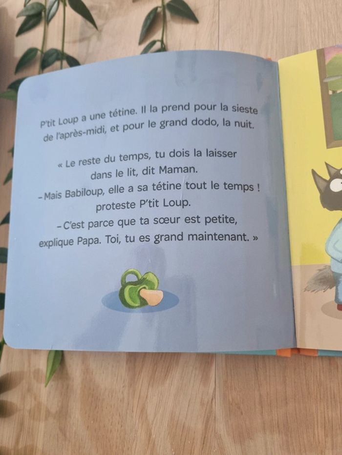 P'tit loup veut sa tétine - photo numéro 6