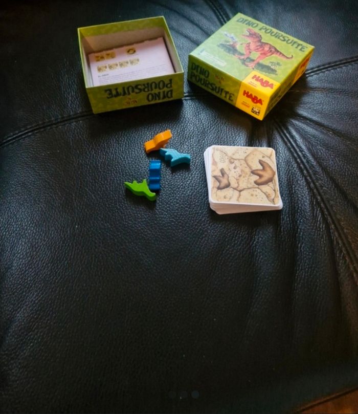 Dino Poursuite - photo numéro 3