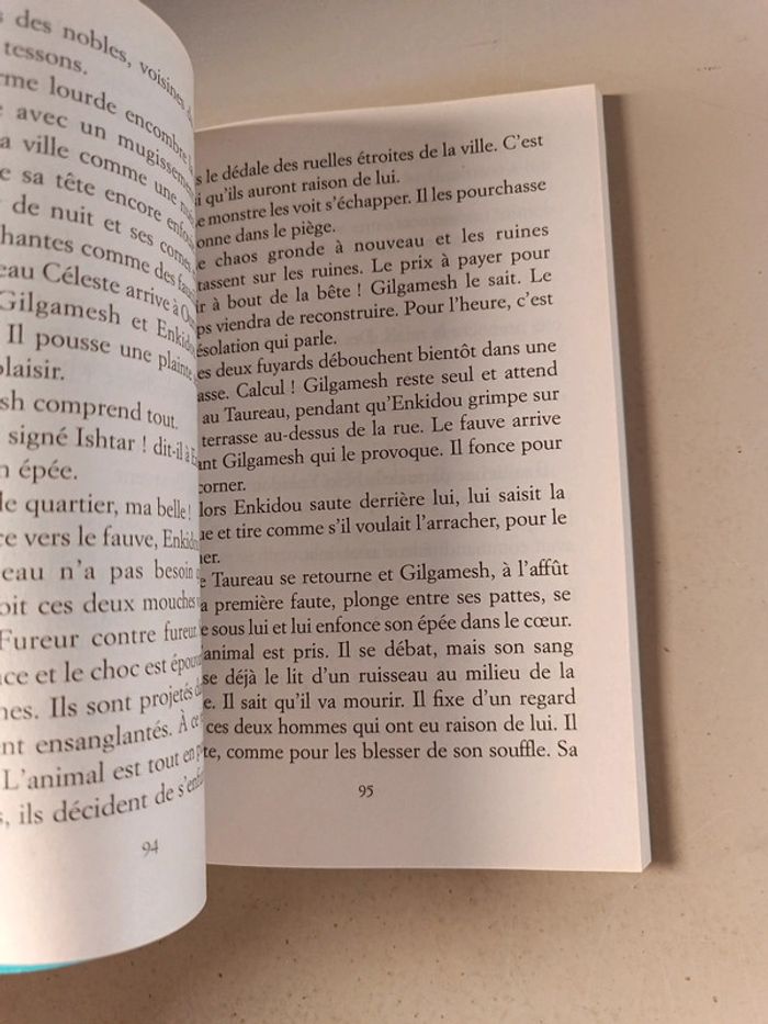 Le premier roi du monde l'épopée de Gilgamesh de Jacques cassabois - photo numéro 7