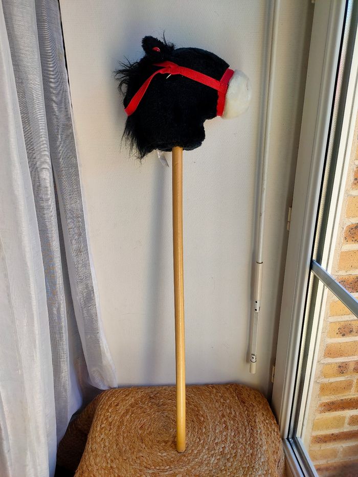 Bâton cheval noir - photo numéro 2