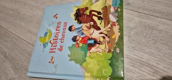 Livre histoires de chevaux