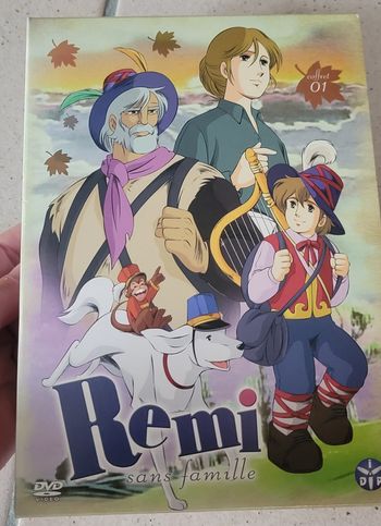 Coffret remi sans famille