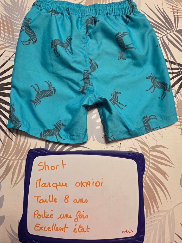 Short dessin zebre - photo numéro 2