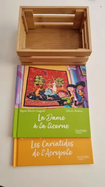 Lot de 2 livres McDonald's neuf