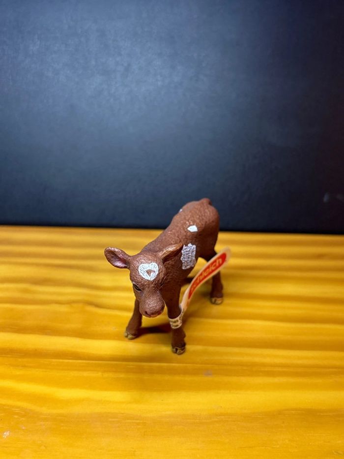 Veau texas longhorn - photo numéro 3