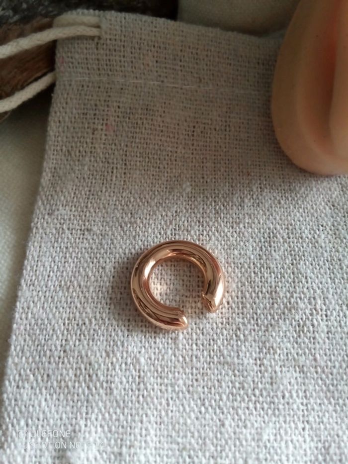 Boucles d'oreilles cartilage - photo numéro 2