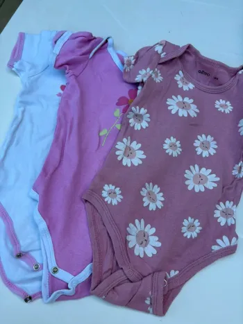 Lot de 3 bodys fleurs 24 mois