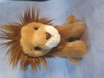 Peluche magnifique Lion zoo par de Beauval