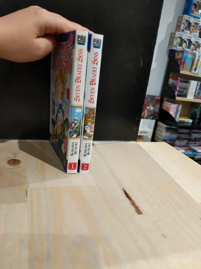 Seven Deadly Sins – Tomes 1 & 2 - photo numéro 2