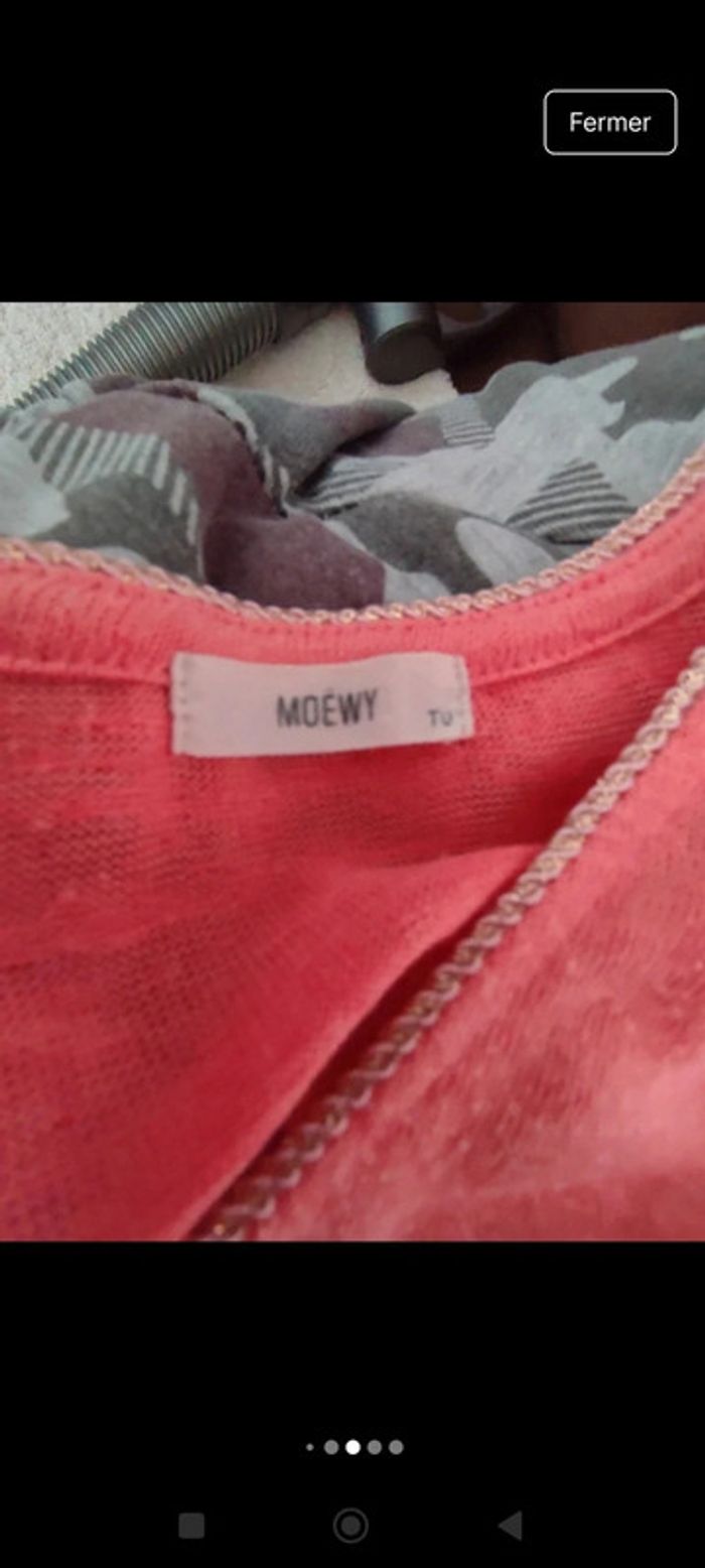 Haut Noévy - photo numéro 4