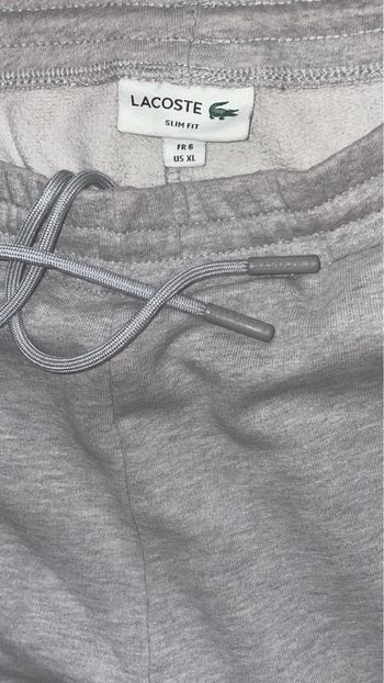 Bas Jogging Lacoste Gris 