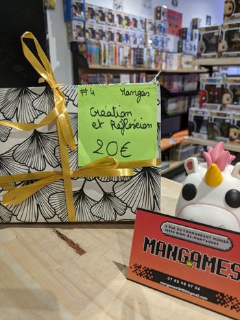 Paquet Mystère Manga – Création & Réflexion