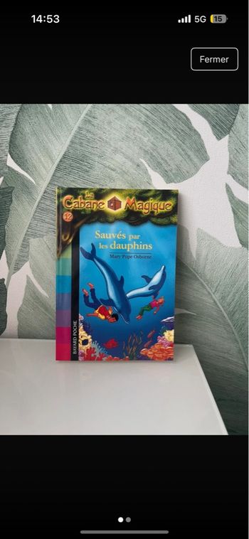 Livre la cabane magique 