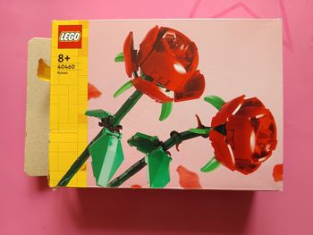 Legos roses