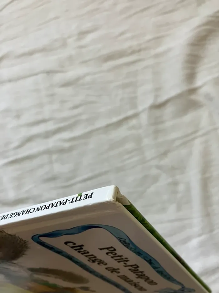 Livre enfant – Petit Patapon change de maison - photo numéro 5