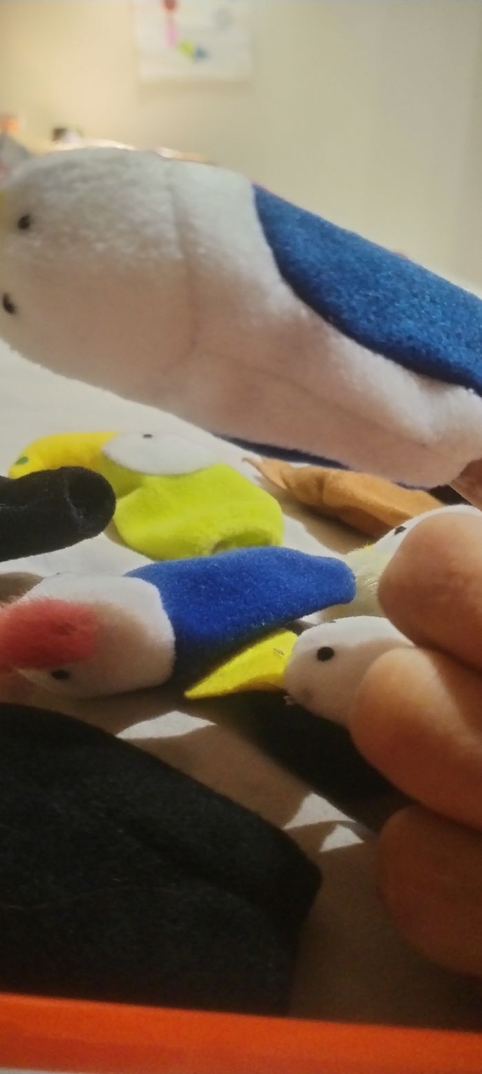 Marionnettes en tissus - photo numéro 3