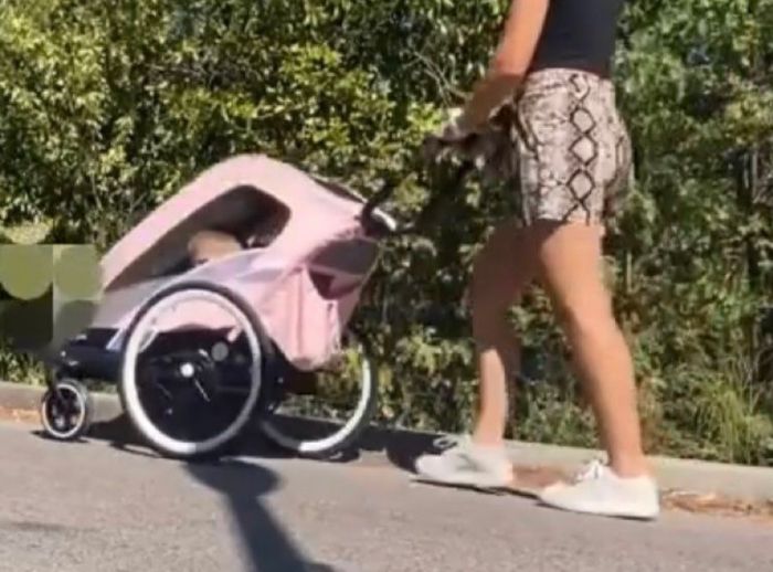 Remorque poussette & Vélo CYBEX - photo numéro 2