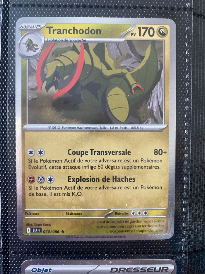 Carte Pokémon holographique neuf